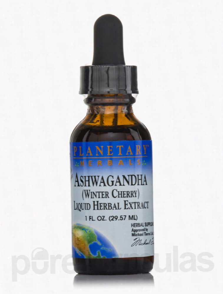 Planetary Herbals Herbals/Herbal Extracts - Ashwagandha Liquid Herbal